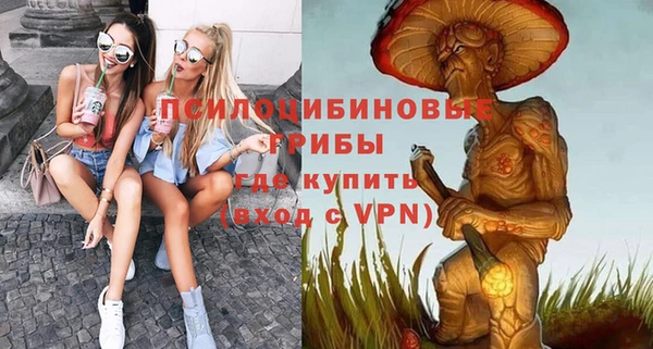 гашик Вязьма