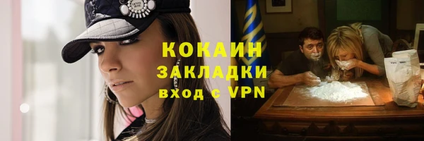 шишки Бронницы