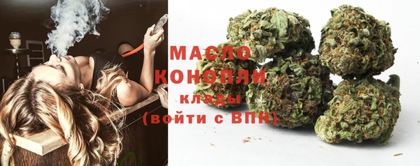 гашик Вязьма