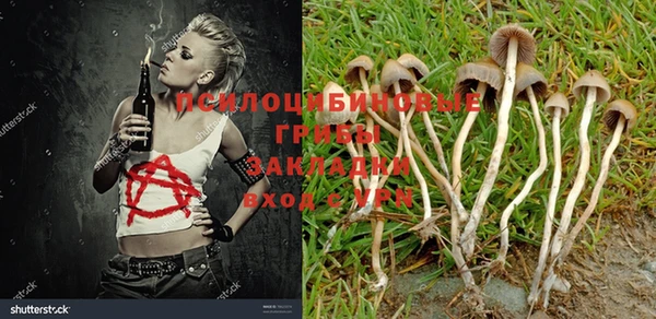 гашик Вязьма