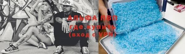 гашик Вязьма