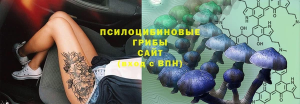 гашик Вязьма